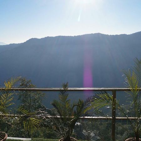 Nirala Guest House Darjeeling  Dış mekan fotoğraf